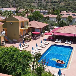 book here