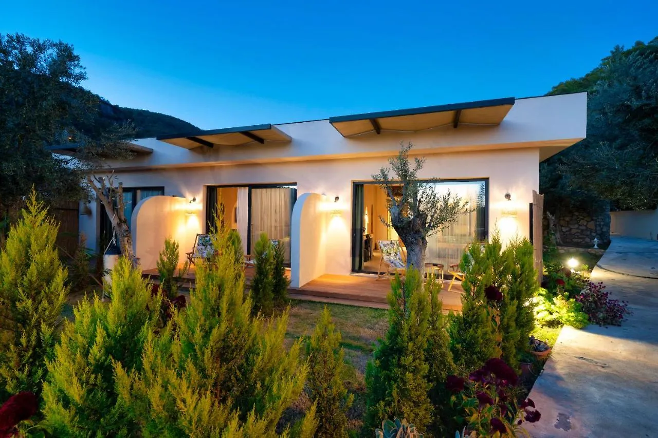 Z Exclusive Hotel And Villas Oludeniz 2*,  Turkey