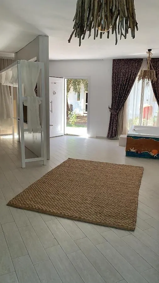 Z Exclusive Hotel And Villas Oludeniz 2*,